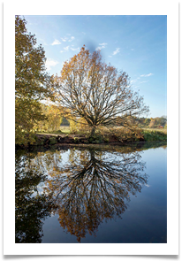 AUTUMN  REFLECTION - Jan Hodson